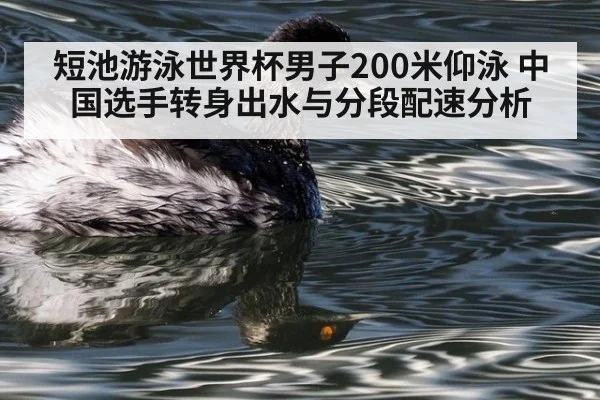 短池游泳世界杯男子200米仰泳 中国选手转身出水与分段配速分析